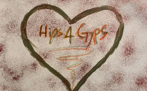Hips4Gyps 222